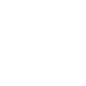 Icona ADS