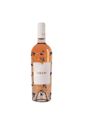 ancora rosé vin suisse