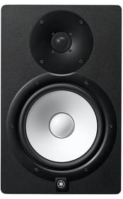 two way monitors