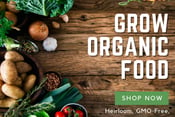 Organic seeds