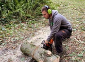 homme qui scie un tronc d'arbre