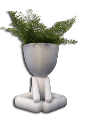 Pots de fleurs modernes