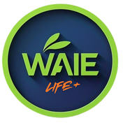 WAIE.IA logo
