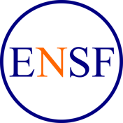 ENSF - Michaël Nugues - Consultant en présence digitale logo