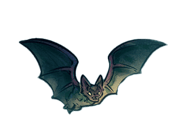 Fledermaus