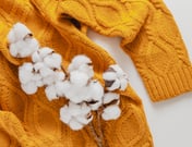 Coton - fibre textile ( Freepik)
