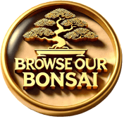 link to browse our bonsai