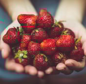 a person holding a bowl of strawberries