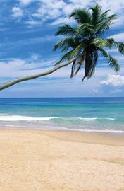 Alankuda beach