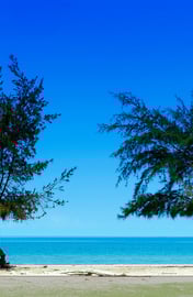 Casuarina beach jafna sri lanka