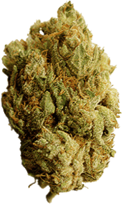 weed