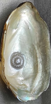 "Approx 10mm white spiral flower-shaped pearl with nucleus–oyster gem for luxury jewelry-Fit for export"