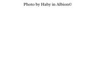 watermark