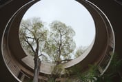 Jardin Botanico, foto de Juan Gil