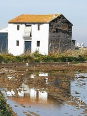 Foto de Encarna Arnal en la web de la Agrupacion Fotografica Valenciana