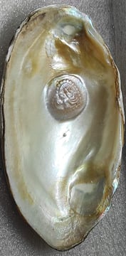 "White designer cultured pearl featuring heart-shaped–approx 11mm, nucleus-implanted-for export markets"