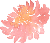 a pink orange flower