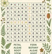 Botanical Word Search 