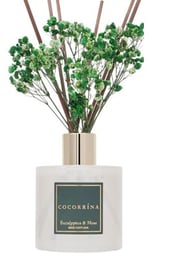 Cocorrína Reed Diffuser Eucalyptus & Moss Scented Diffuser with Sticks
