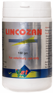 LINCOZAN