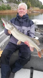 Ein Mann sitzt in einem Fischerboot in Schweden und hält einen schönen Hecht in der Hand.