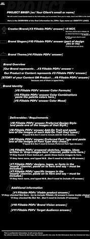 Preview of Project Brief PDF