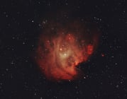 ngc 2174 - nébuleuse de la t^te de singe