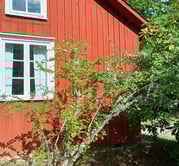  make wood look rustic with the only paint using traditional, matte, natural pigments