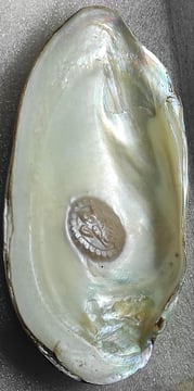 "White 11mm divine motif cultured pearl–handcrafted nucleus implantation-Suitable for export"
