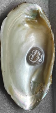 "Approx 11mm white cultured pearl with heart engraving–handcrafted using nucleus-for global buyers"