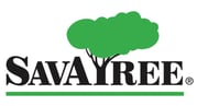 Client: SavATree – lead generation and social media strategy for provider of lawn care services