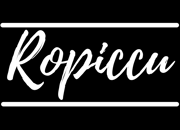 Branded Toys at Ropiccu Brands - for US & Canada  logo