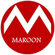 LSX Token logo