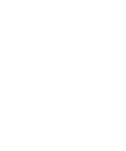 urban tigress logo