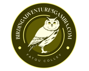 Bird watcher Gambia adventures logo