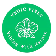 Vedic Vibes logo