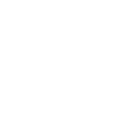 Original Orn logo