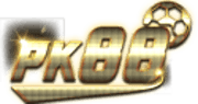 VNZ66 logo