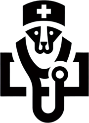 Focinho News logo