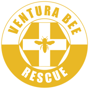 Ventura Bee Rescue