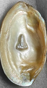 "11mm white designer pearl with divine facial carving–cultured using nucleus technique-Shipped worldwide"