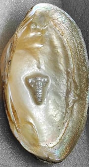 "Side view of 11mm designer cultured pearl with detailed divine face–nucleus-based-Sent overseas"