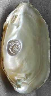 "11mm white cultured pearl with engraved heart motif–using nucleus technique-for overseas demand"