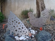 Coq & Poule au jardin