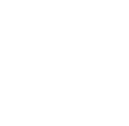 icon de certification SSl pour site web
