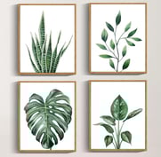 a set of four framed prints of tropical plants