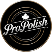 ProPolish Motorcycle Ceramic Coating Port Rowan Ontario Norfolk County