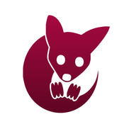 Brisbane Possum Removal logo