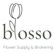 Blosso logo