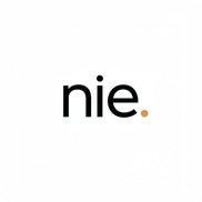 NGUYỄN THÔNG INFOMATION AND EDUCATION - NIE.VN logo